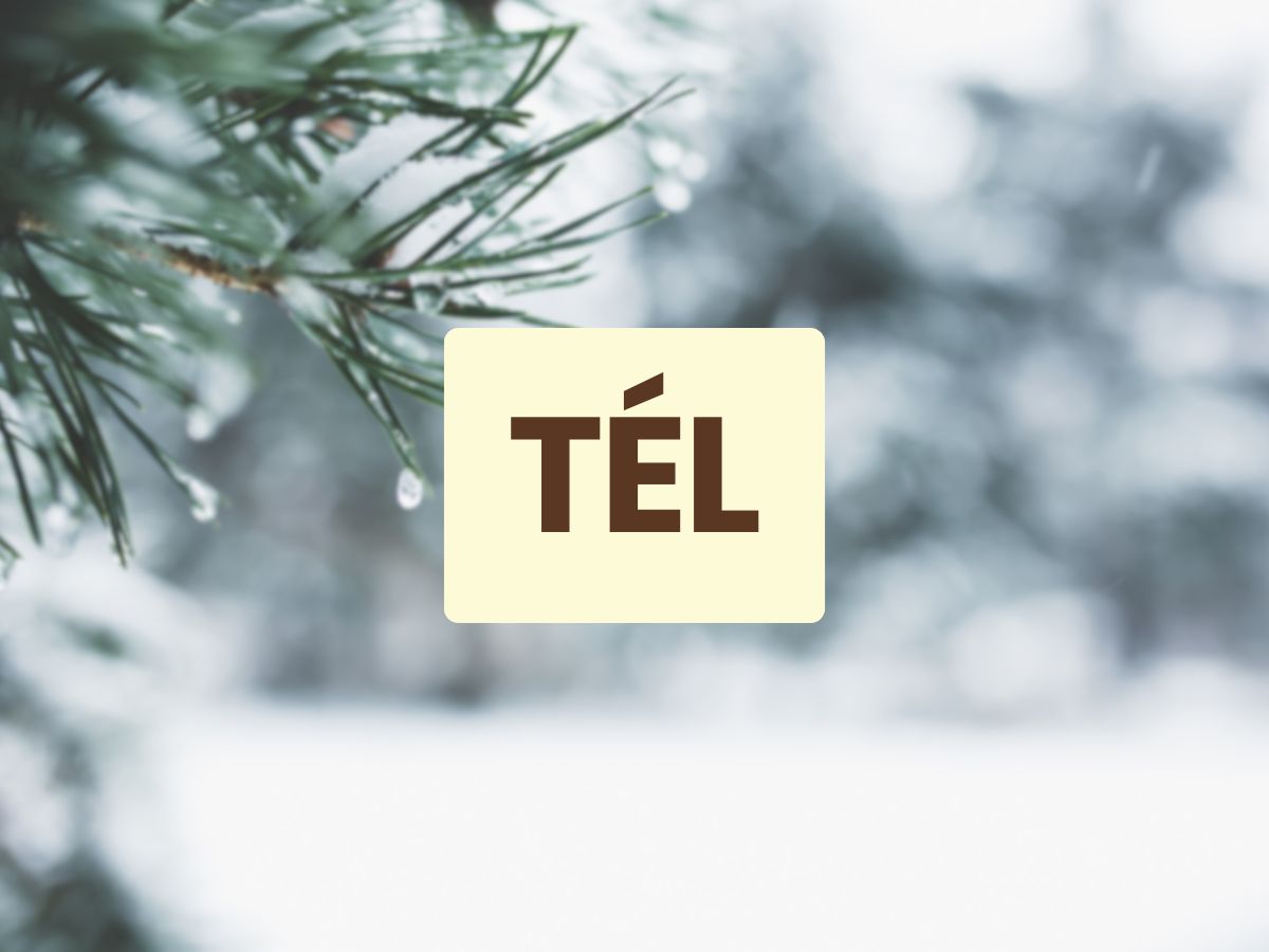 tél évszakok