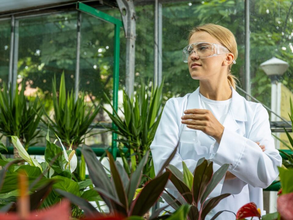 leghatásosabb szobanövény levegőtisztító