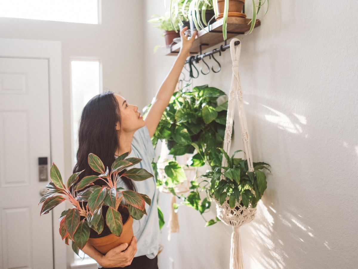 fiatal nő otthon szobanövény