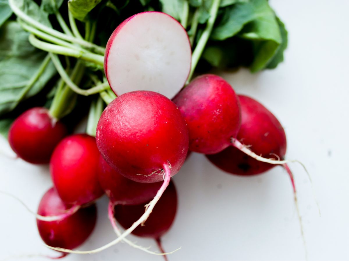 zoldsegek-ultetese-oktoberben - Nők Lapja - Nők Lapja retek