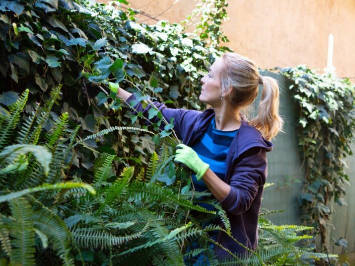 fiatal nő kert növények zöld