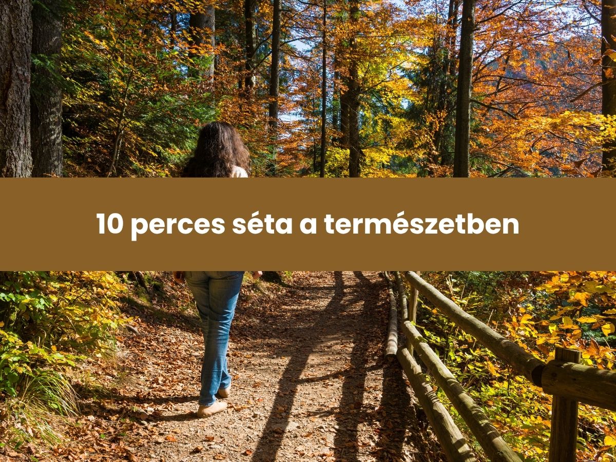 10 perces séta a természetben