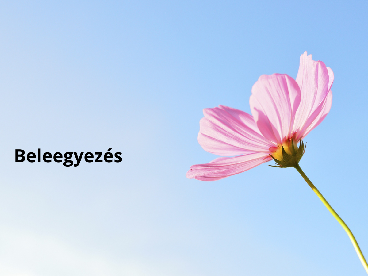 5 tanács kamasz lány szex