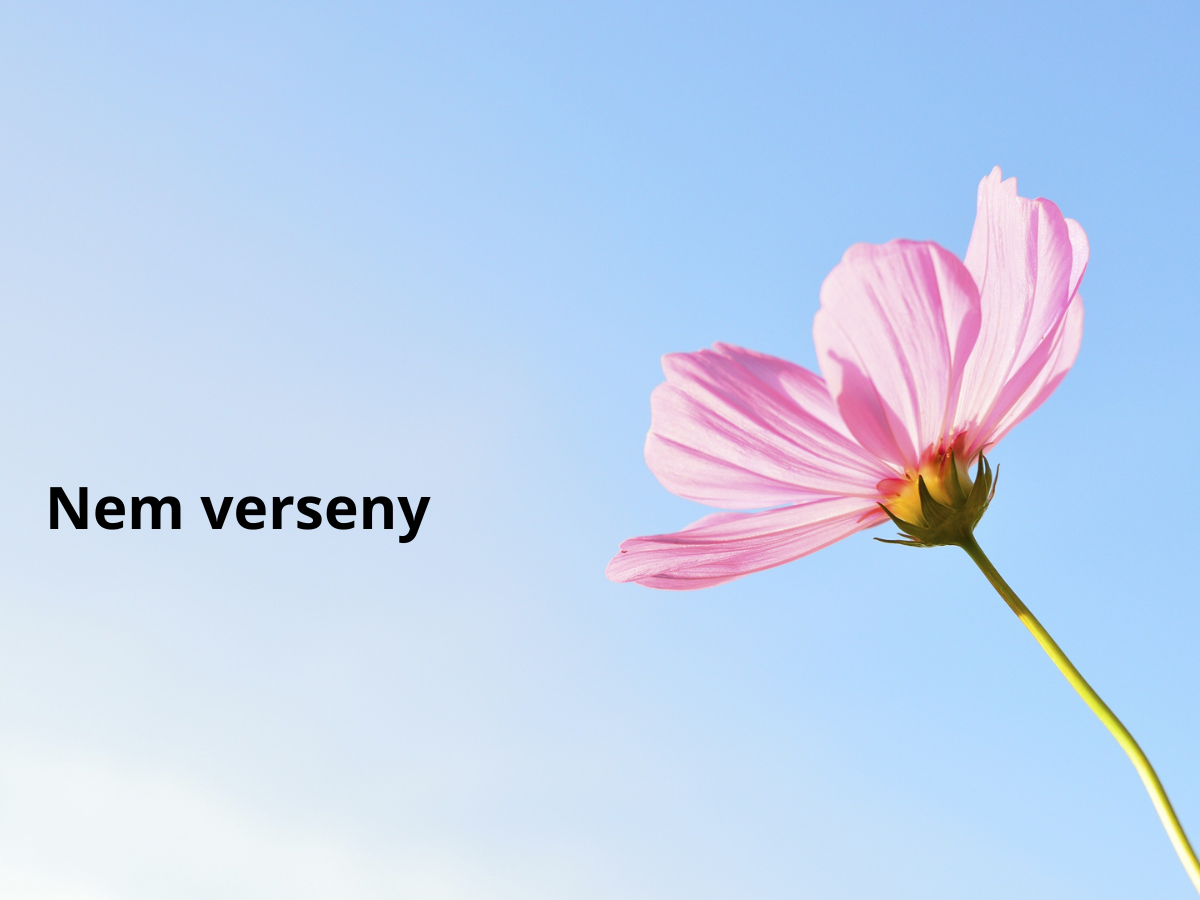 5 tanács kamasz lány szex