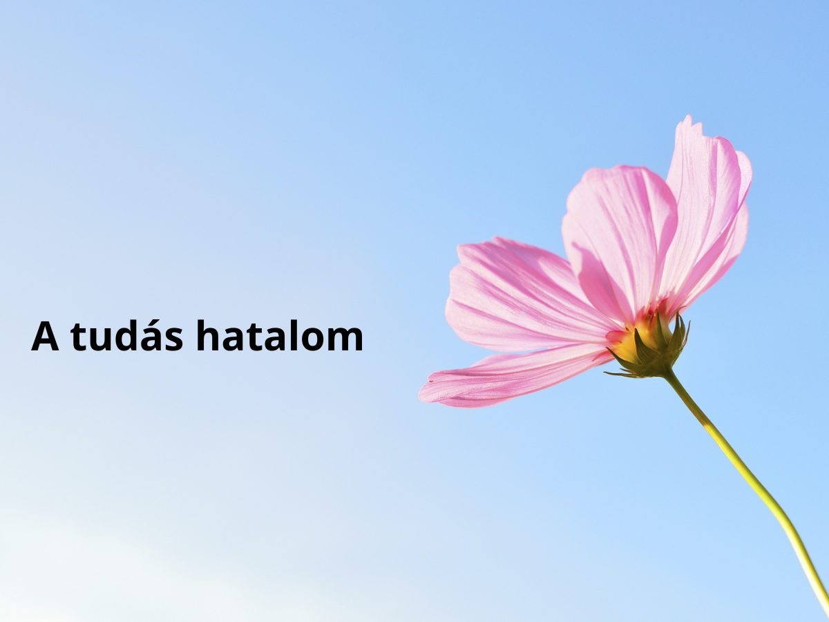 5 tanács kamasz lány szex