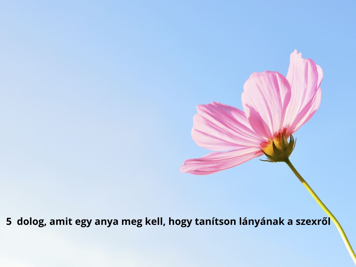 5 tanács kamasz lány szex