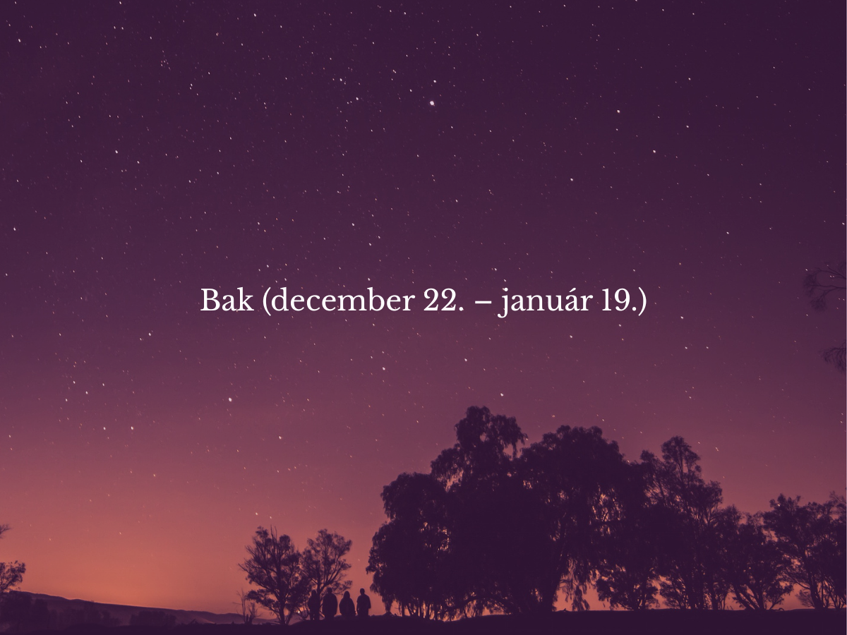 3 csillagjegy vita győztes