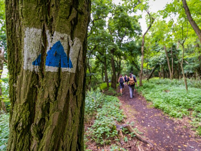kirándulók a szabadban