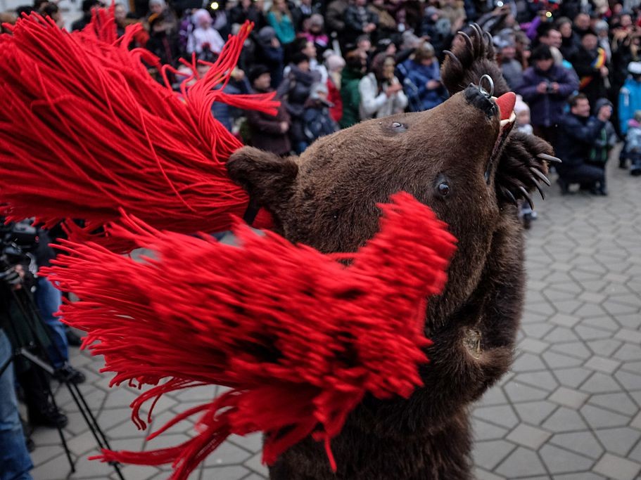 roman-jovevenyszavak-kviz