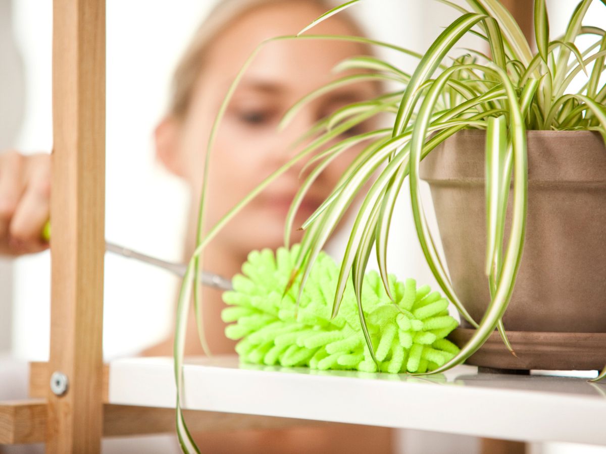 por portörlés takarítás