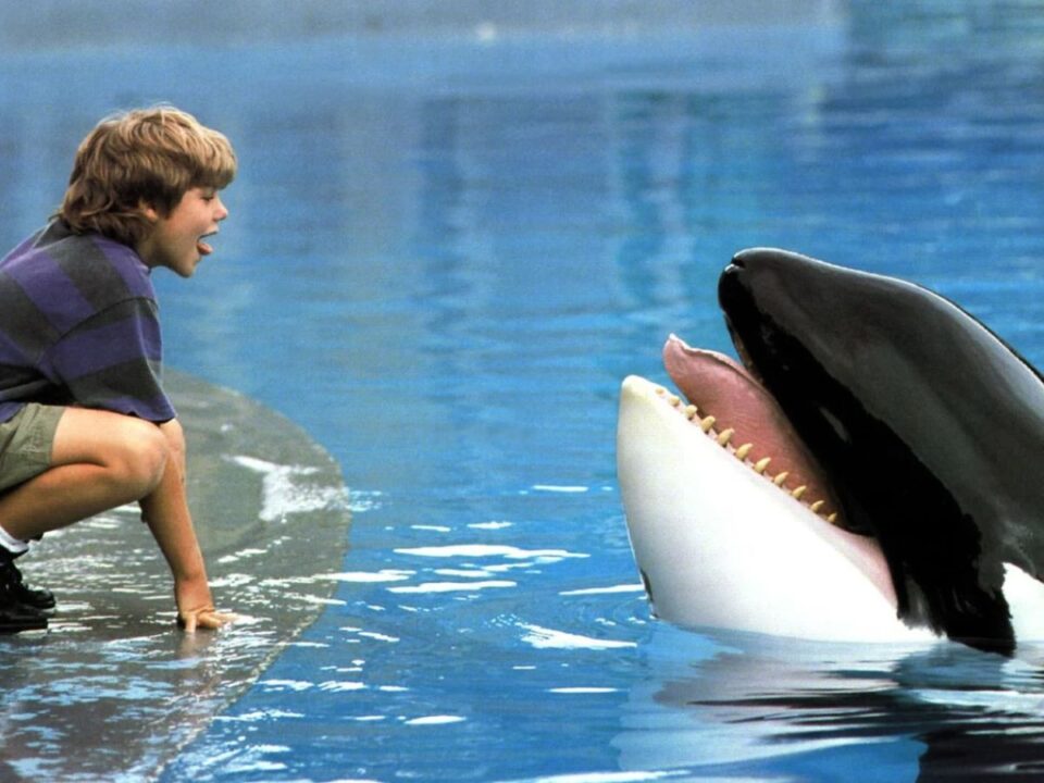 csaladi-filmek-kviz - Nők Lapja Szabadítsátok ki Willyt!