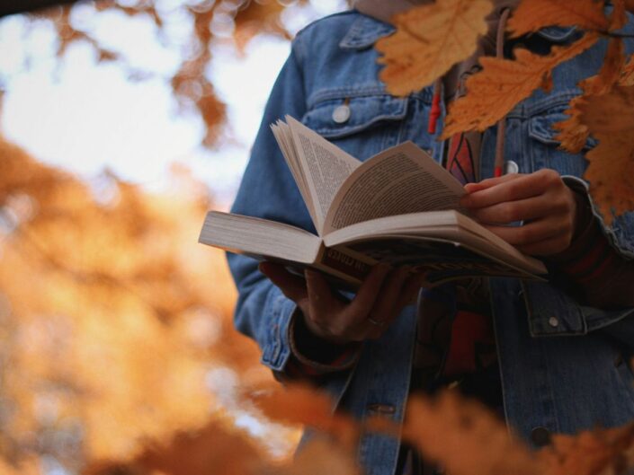 olvasás, könyv, regény