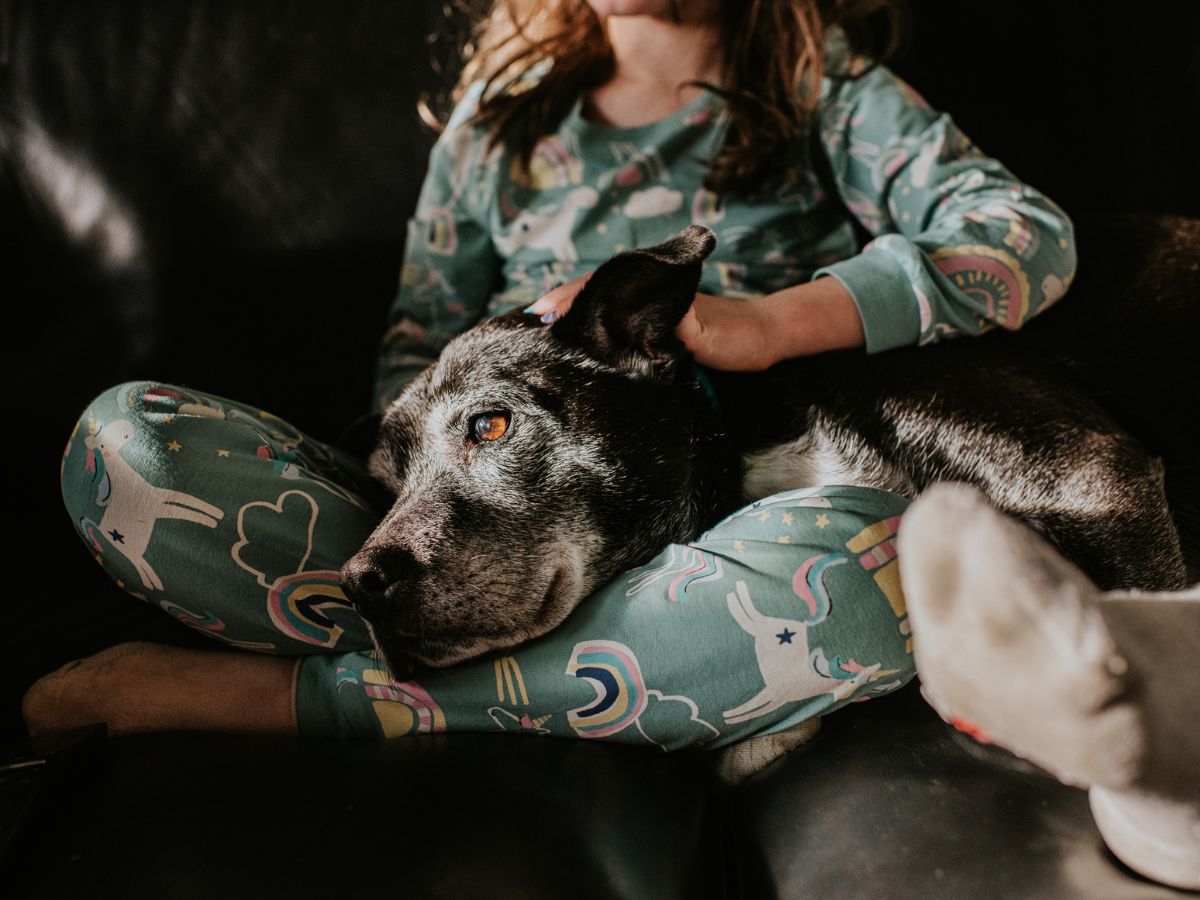 fekete kutya kislány