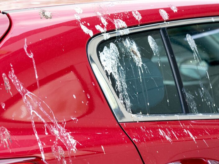 piros autó madárürülék