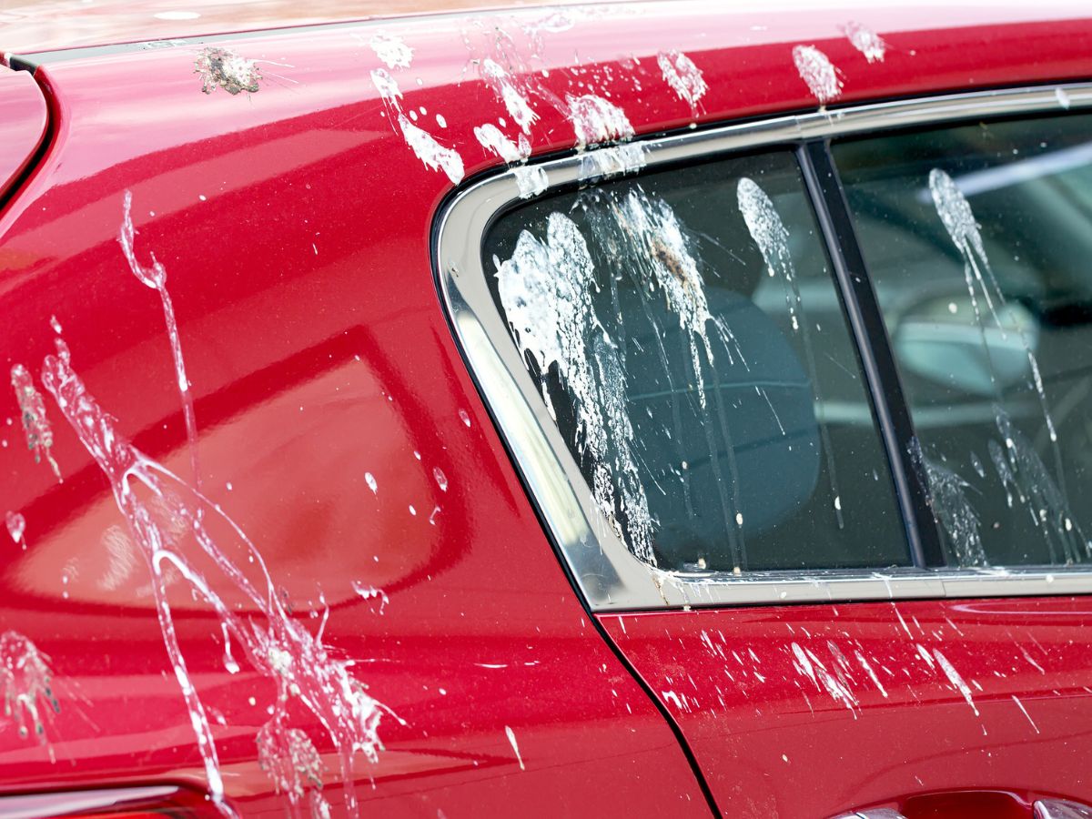 piros autó madárürülék