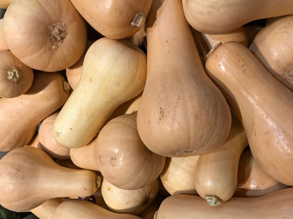 sutotok-helyes-tarolasa - Nők Lapja sütőtök