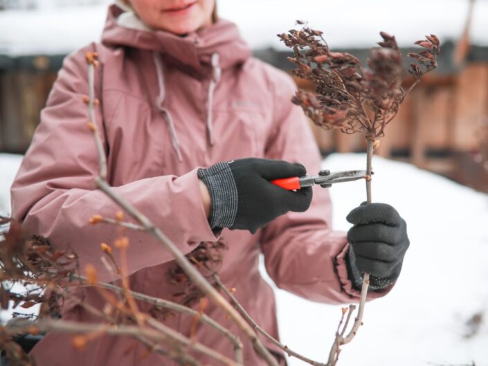 tél metszőolló nő kabát kesztyű kert