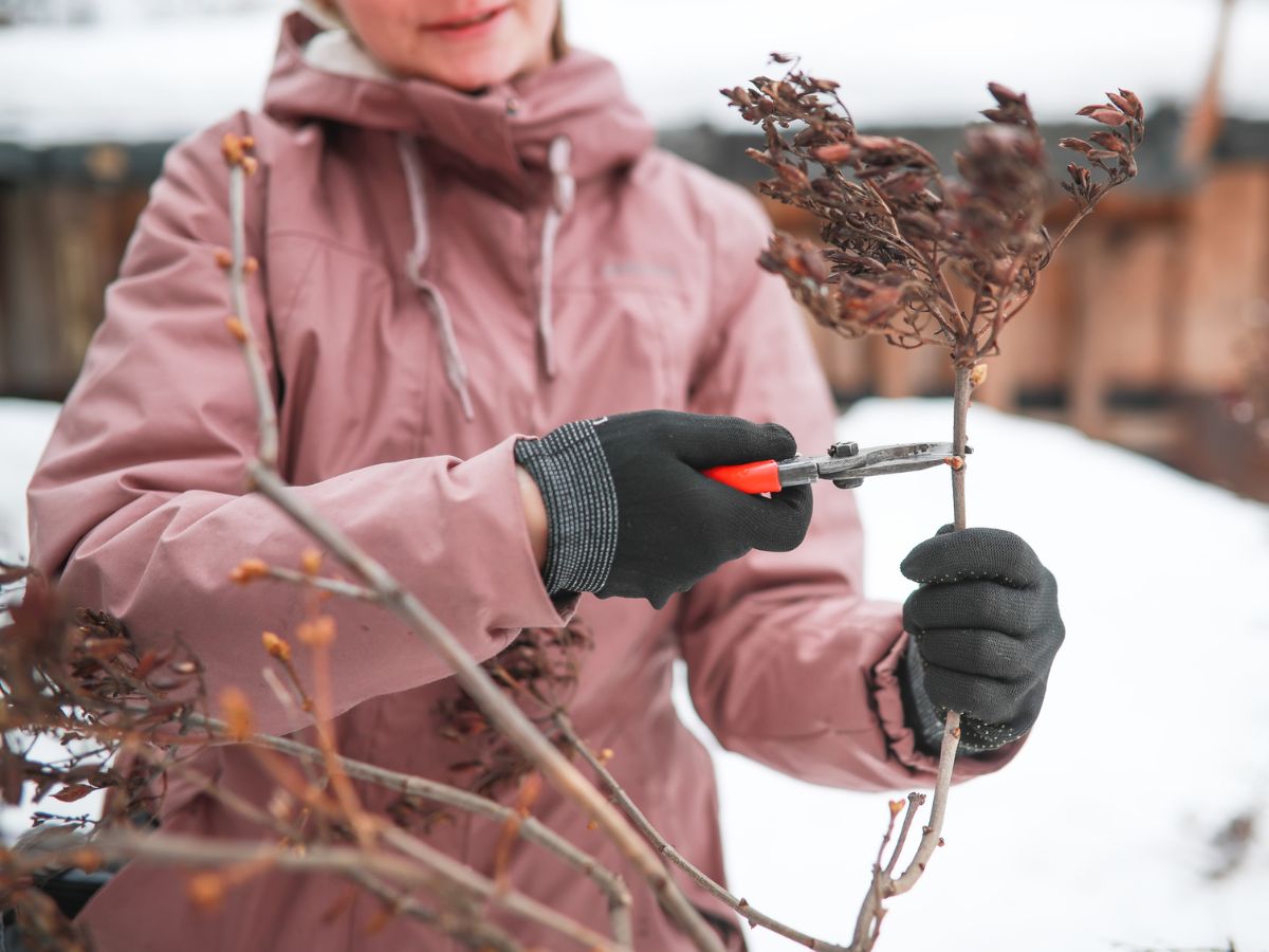 tél metszőolló nő kabát kesztyű kert