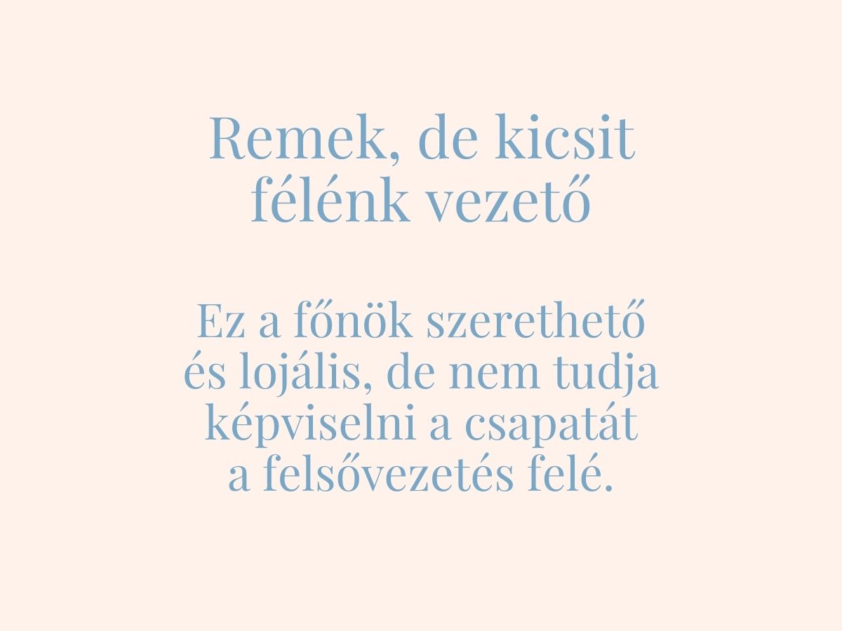 rossz-fonok-7-tipusa - Nők Lapja - Nők Lapja Remek, de félénk vezető