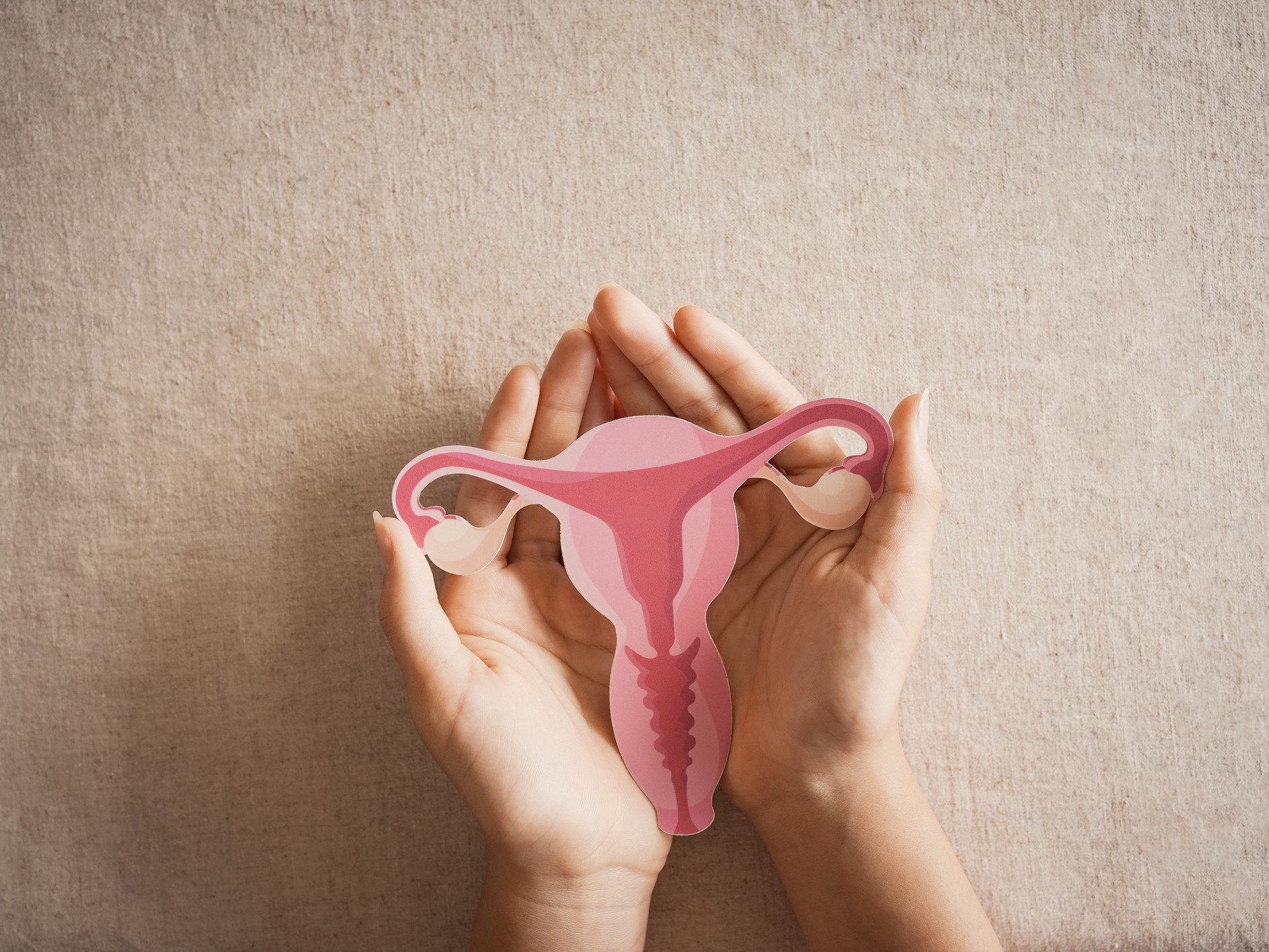 petefészek és méh