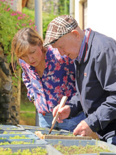 szabó gyuri bácsi füvesember lánya