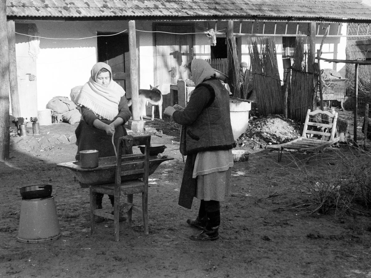 disznovágás, disznótor