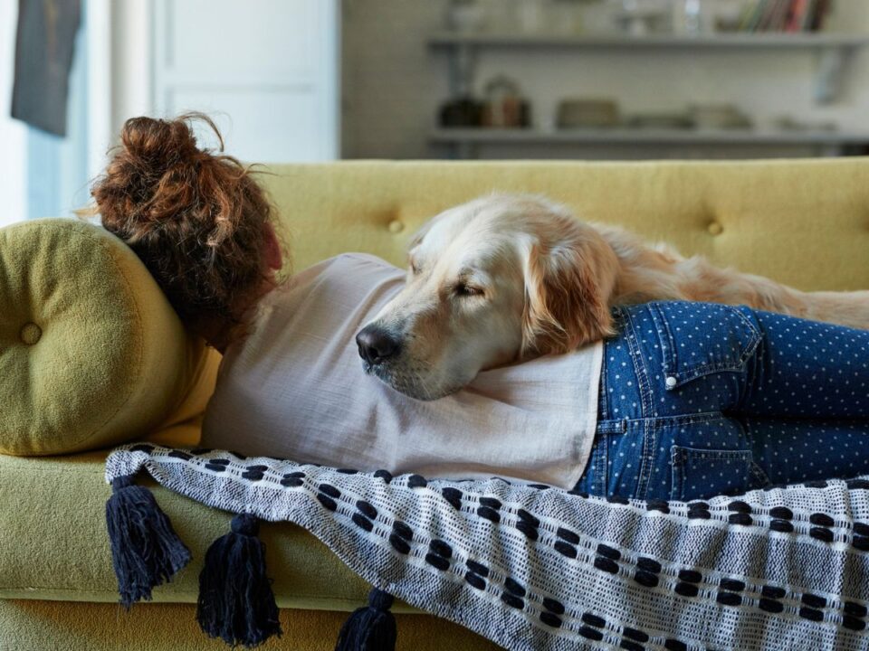 genetikai kapcsolat kutyafajta pszichiátriai betegség