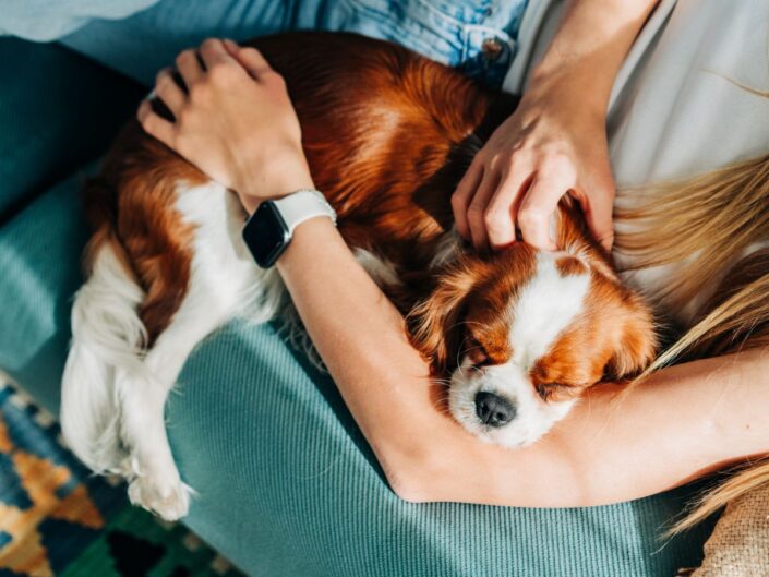 kutya gazdi ember kanapé ölelés