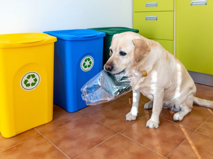 szelektív hulladékgyűjtés