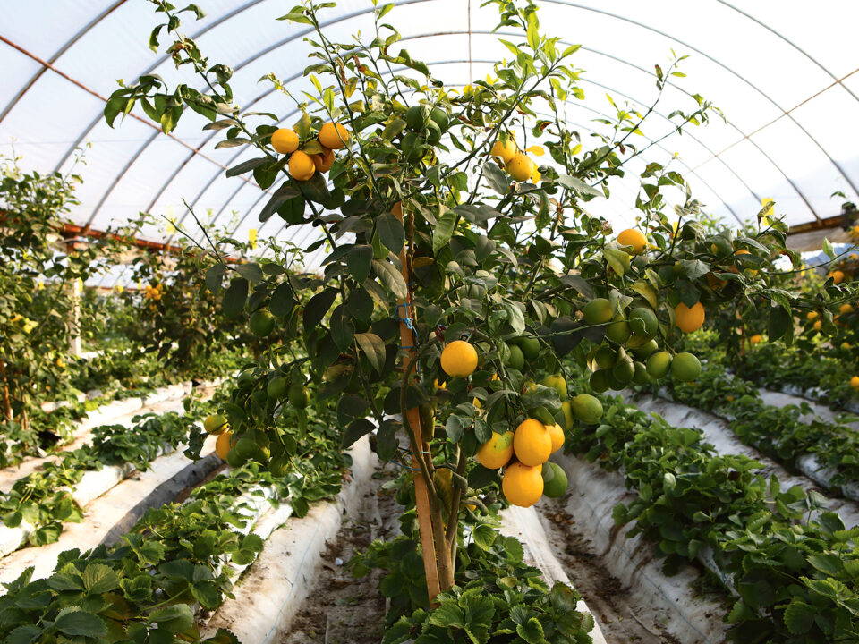 nyito_8R0A0812 copy - Nők Lapja