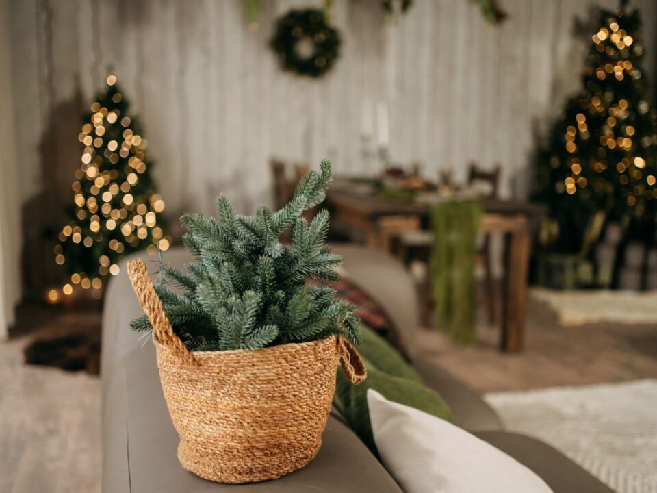 unnepi-illat-lakasban-gyertya-nelkul - Nők Lapja ünnepi illat gyertya nélkül otthon karácsony