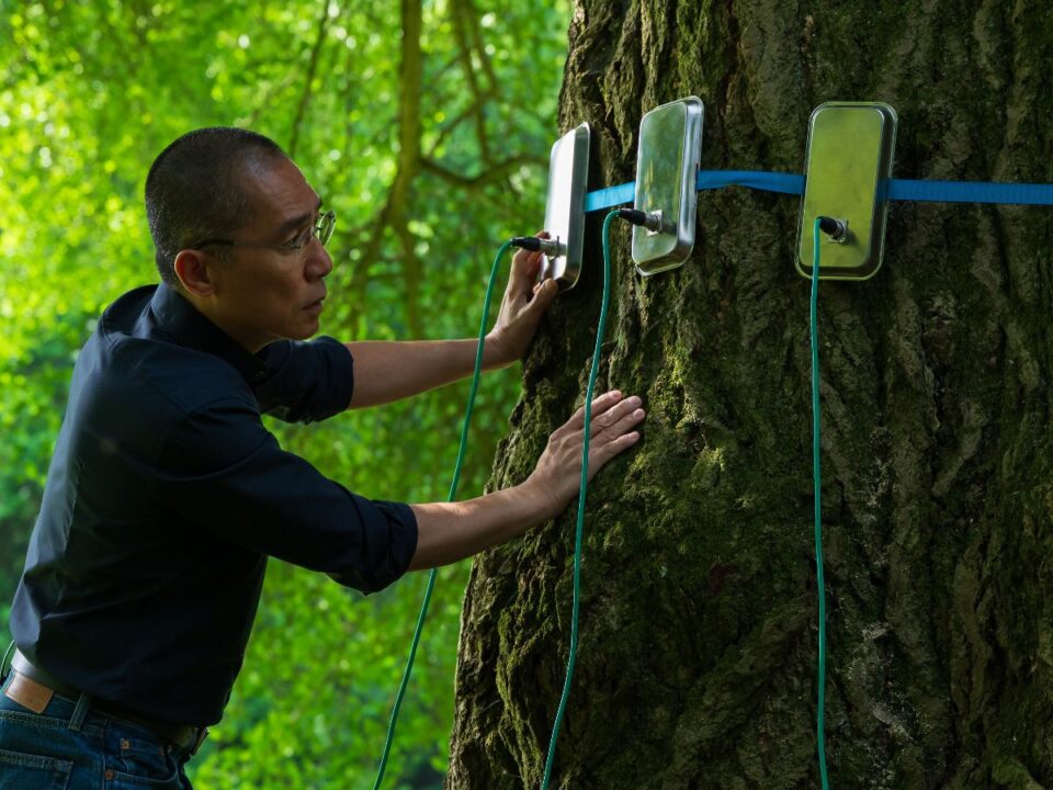 4ec9b08b-903b-4731-9047-374a652cc1dd - Nők Lapja lang-imola-interju