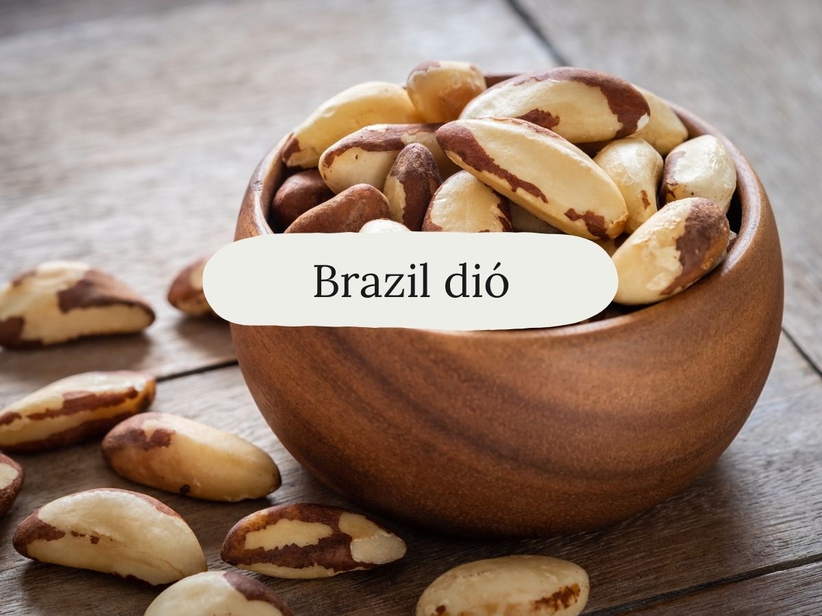 Brazil dió
