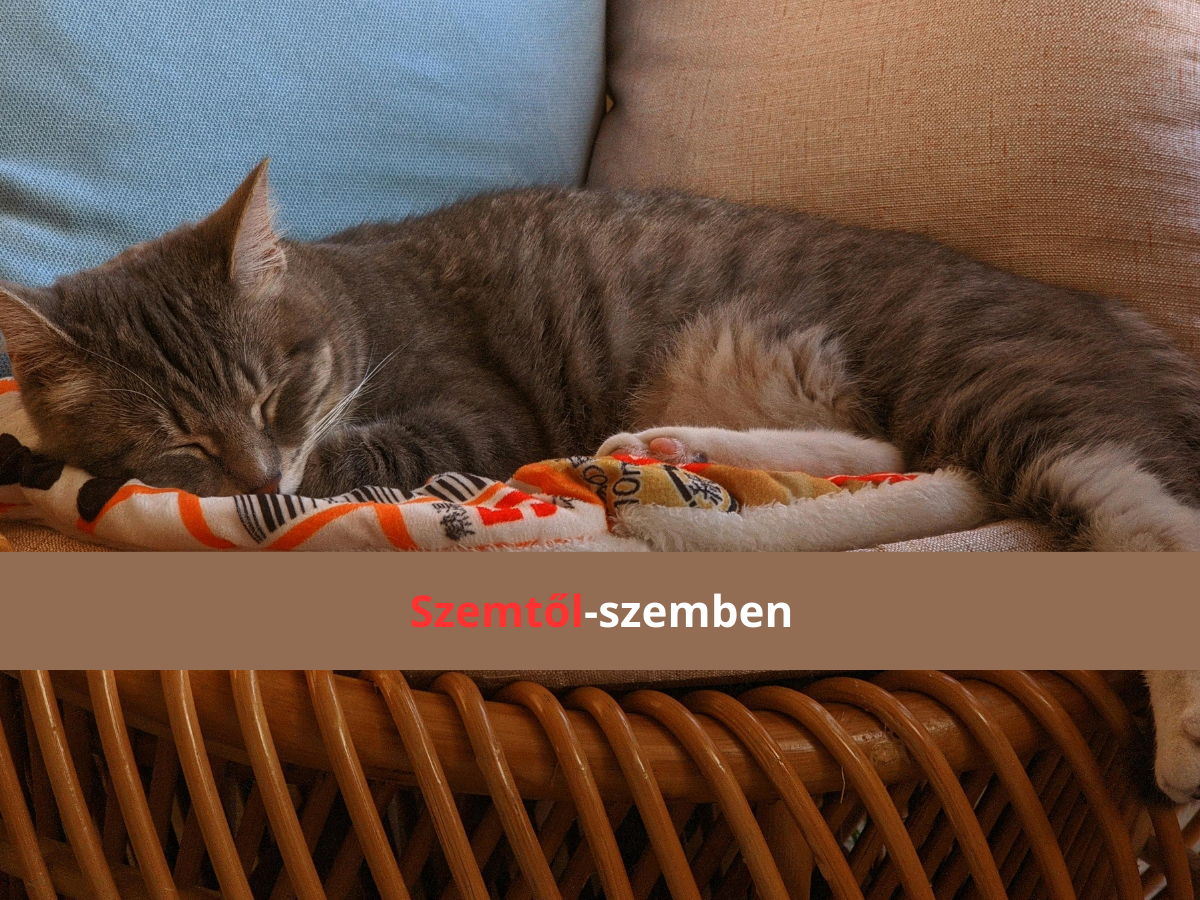 bekes-otthon - Nők Lapja - Nők Lapja békés otthon