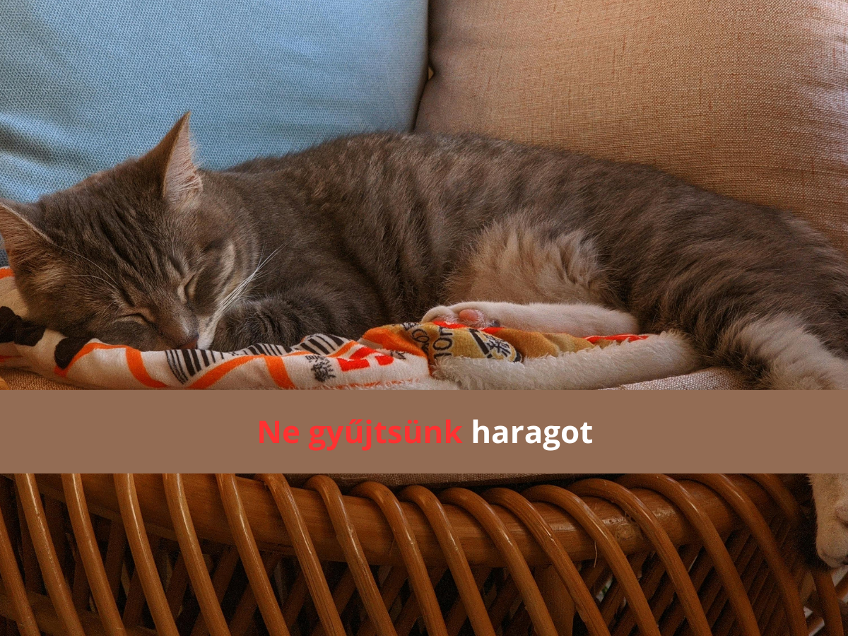 bekes-otthon - Nők Lapja - Nők Lapja békés otthon