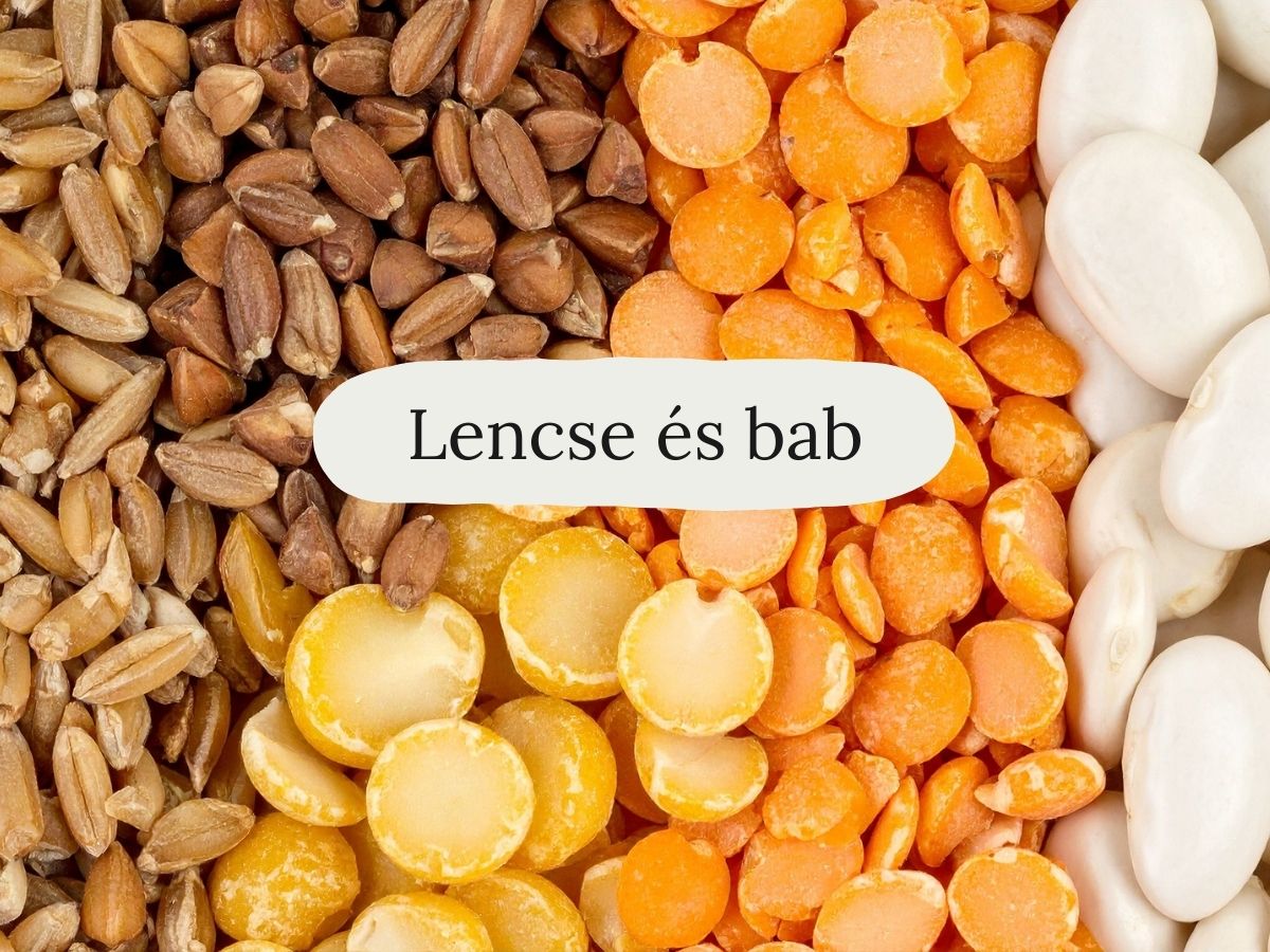 Lencse és bab