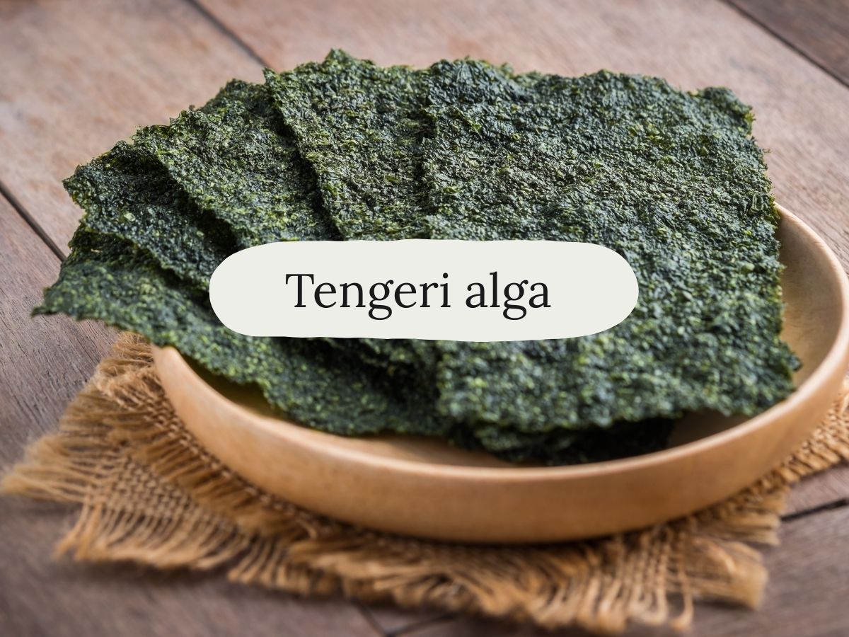 Tengeri alga