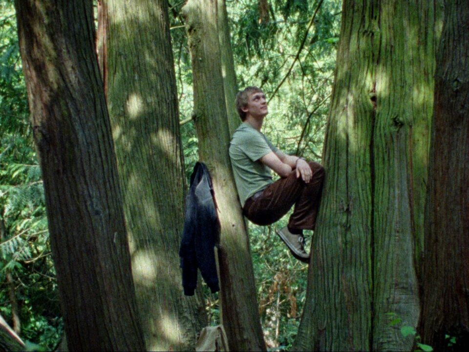 lang-imola-interju - Nők Lapja lang-imola-interju