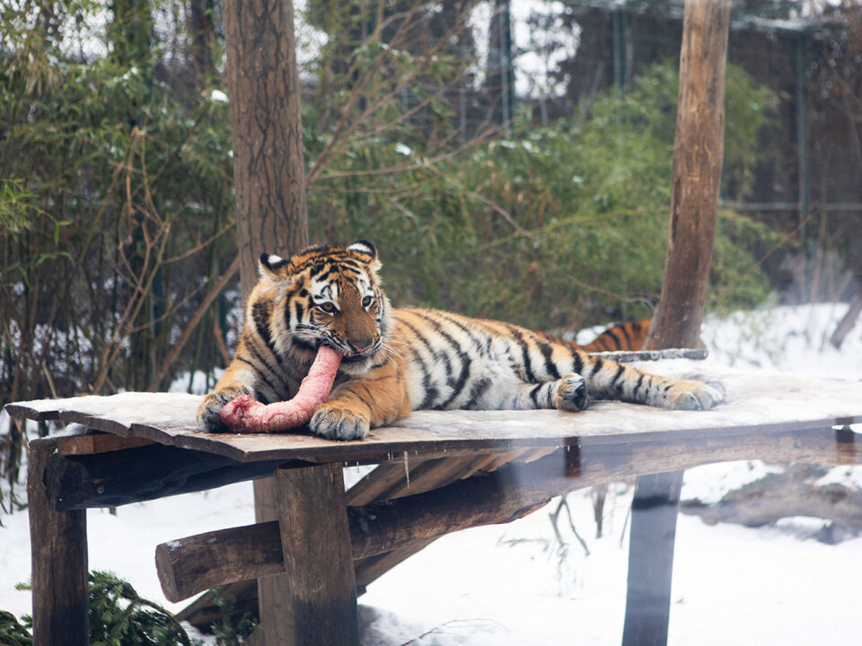 015t9524 copy - Nők Lapja