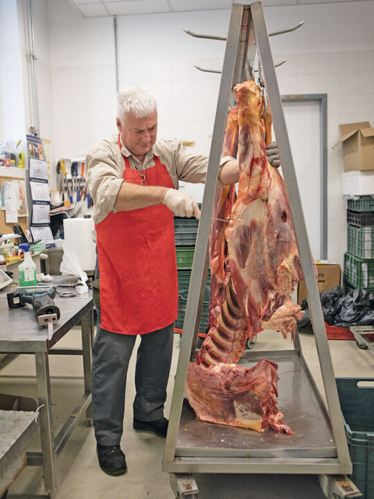 09t9312 copy - Nők Lapja