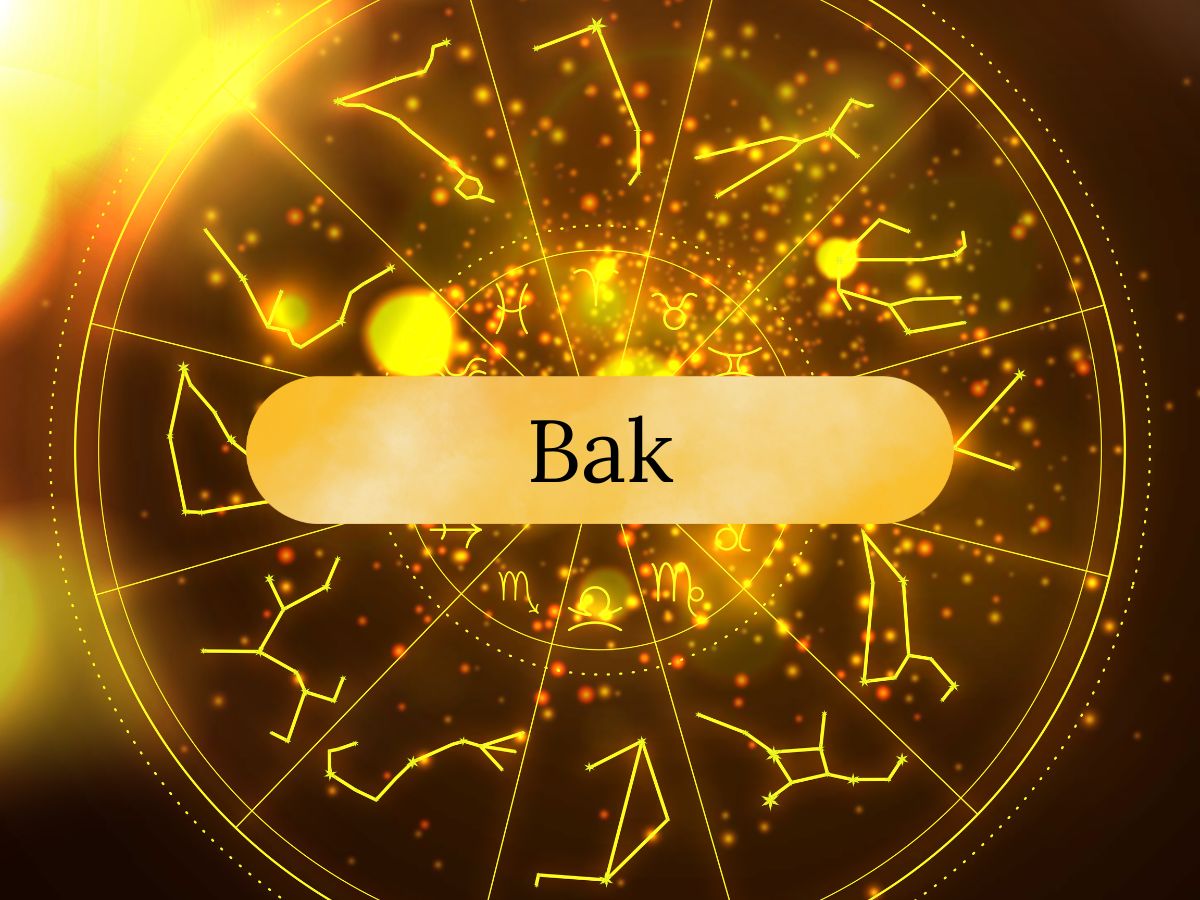 Bak