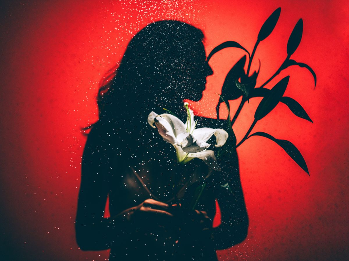 vörös háttér nő fekete sziluett virág