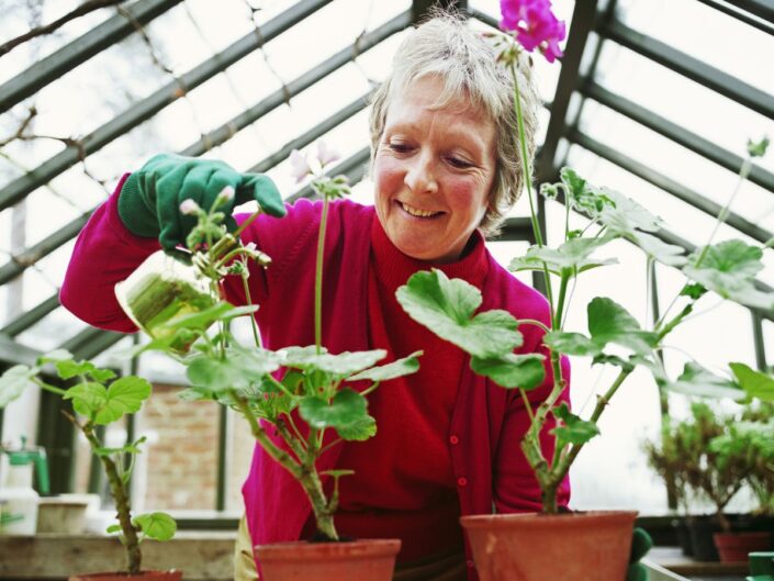 idős hölgy üvegház virág