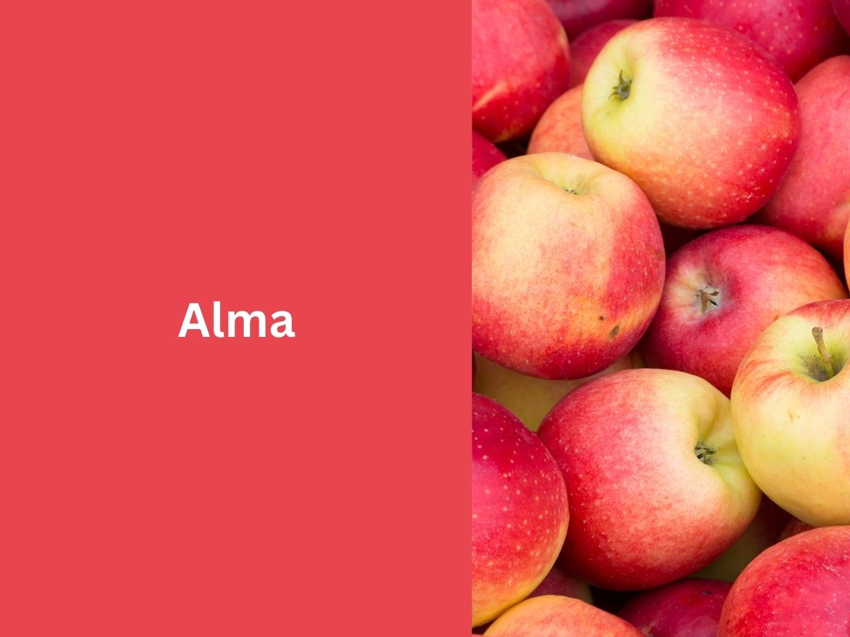 Alma