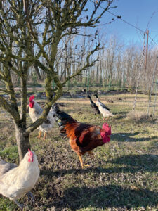 IMG_4869 copy - Nők Lapja