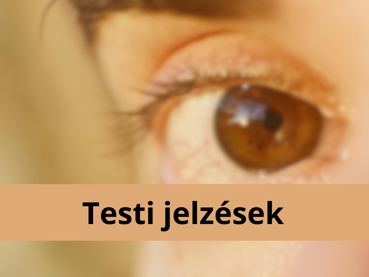 5 jel hatodik érzék