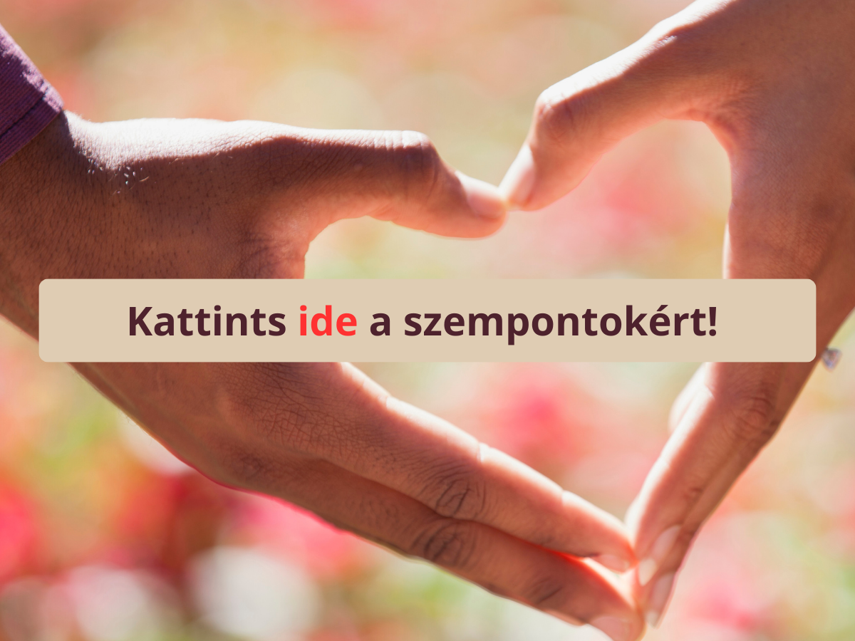 párkapcsolat univerzális szempontok