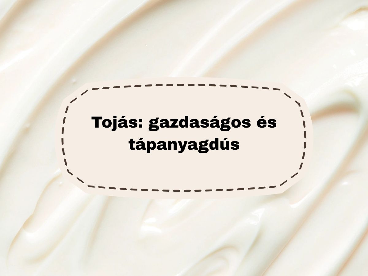 Tojás: gazdaságos és tápanyagdús