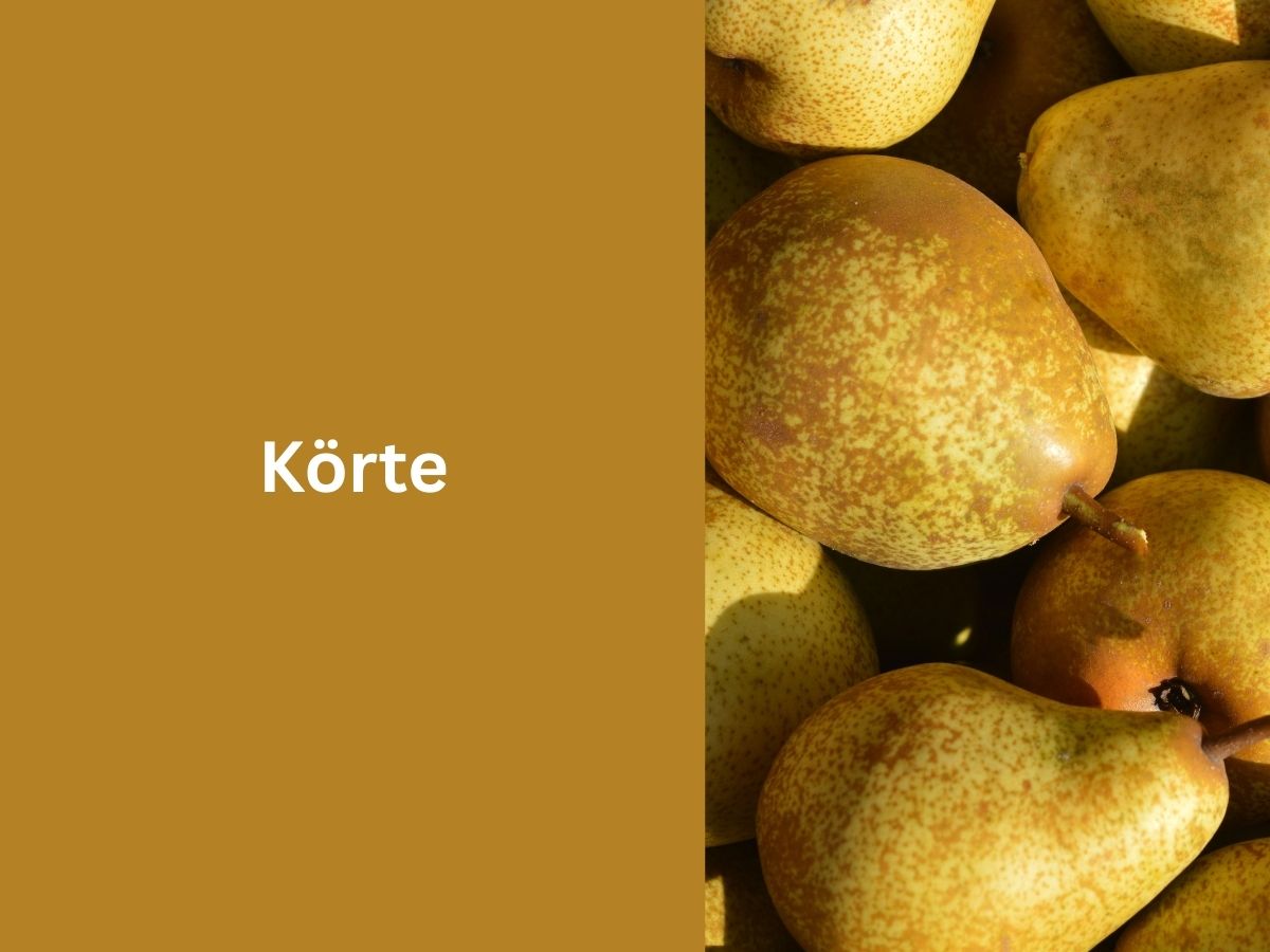 Körte