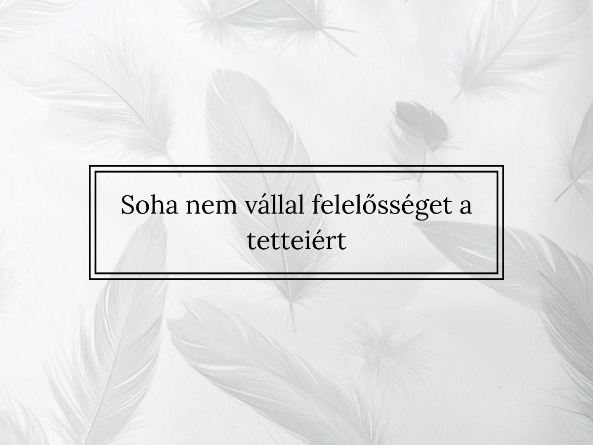 Soha nem vállal felelősséget a tetteiért